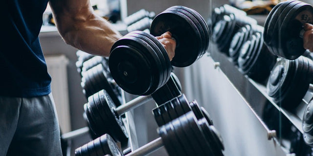 Sport i Fitnes - Brzishop